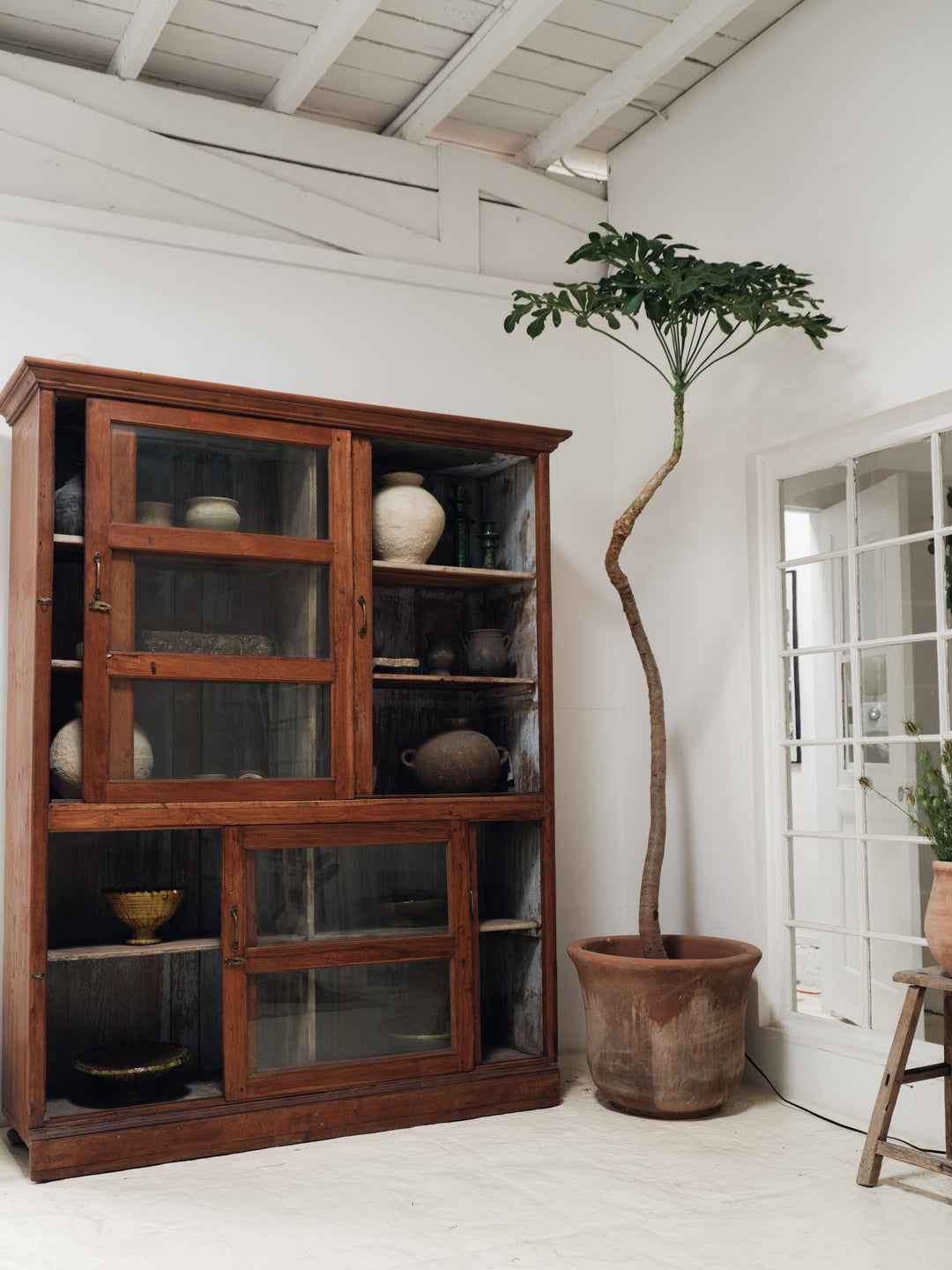 The Cabinet
