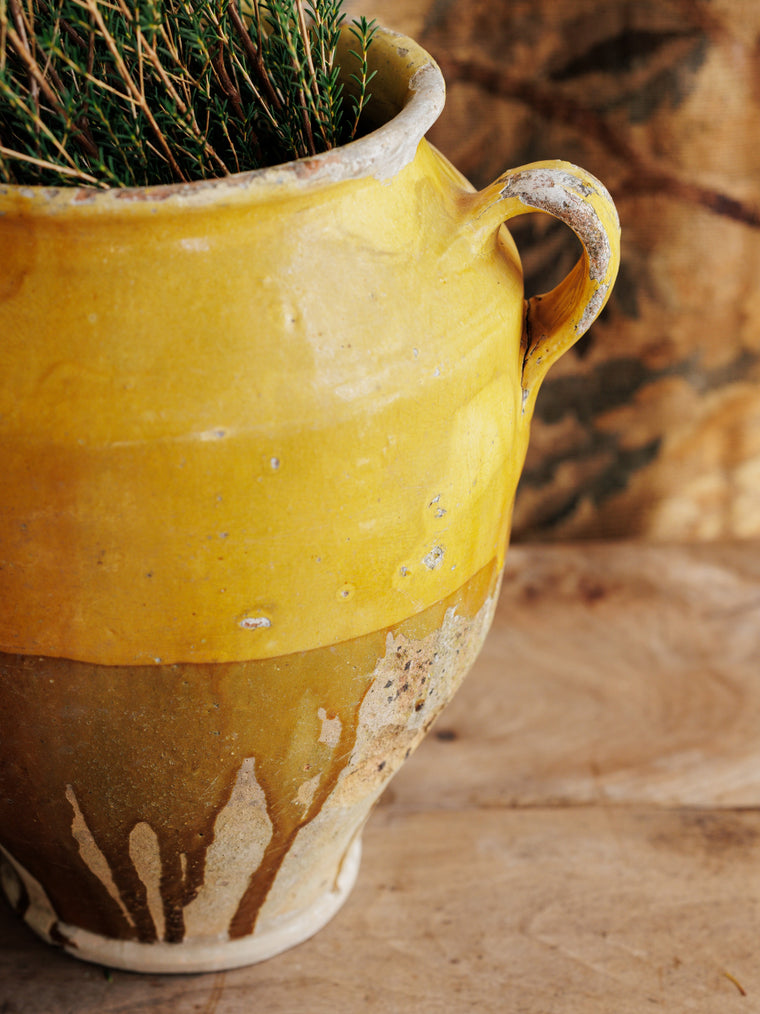 Extra Large Yellow Confit Pot