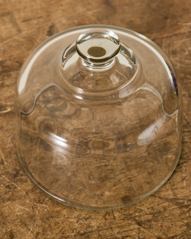 Vintage Glass Cloche - II
