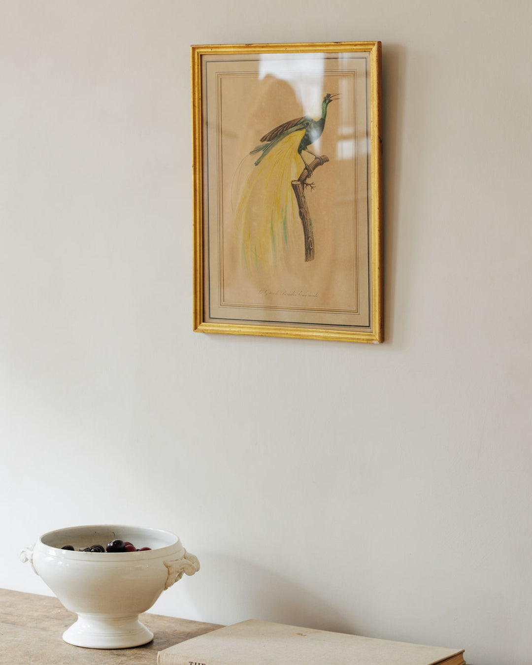 A framed illustration of a green bird with a long yellow tail hangs on a light wall, above a white bowl of berries and a book.