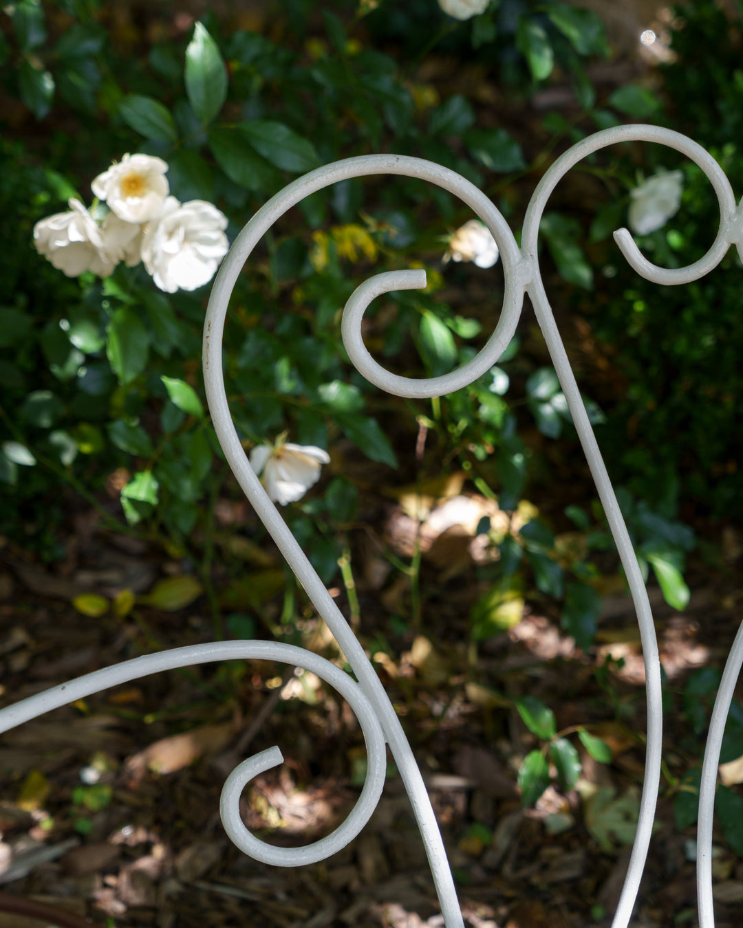 Lovers Garden Bench