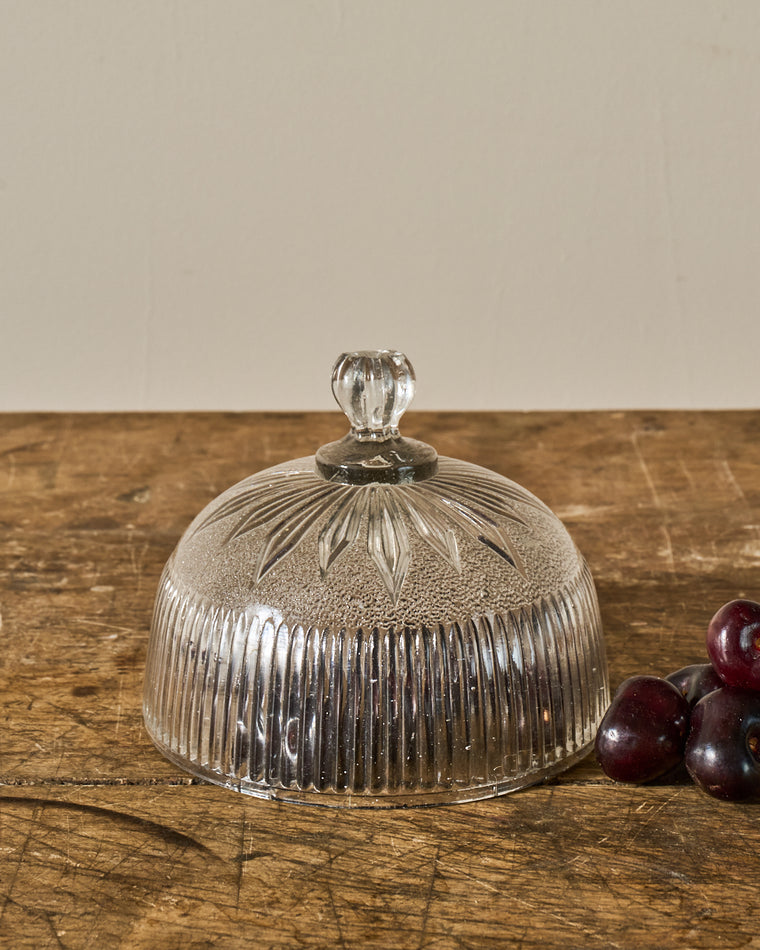 Vintage Glass Cloche