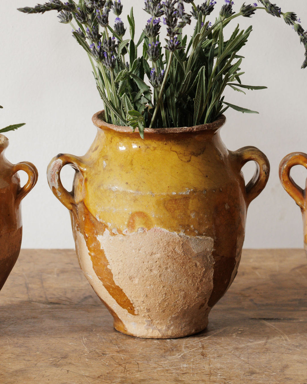 Petit Confit Pots