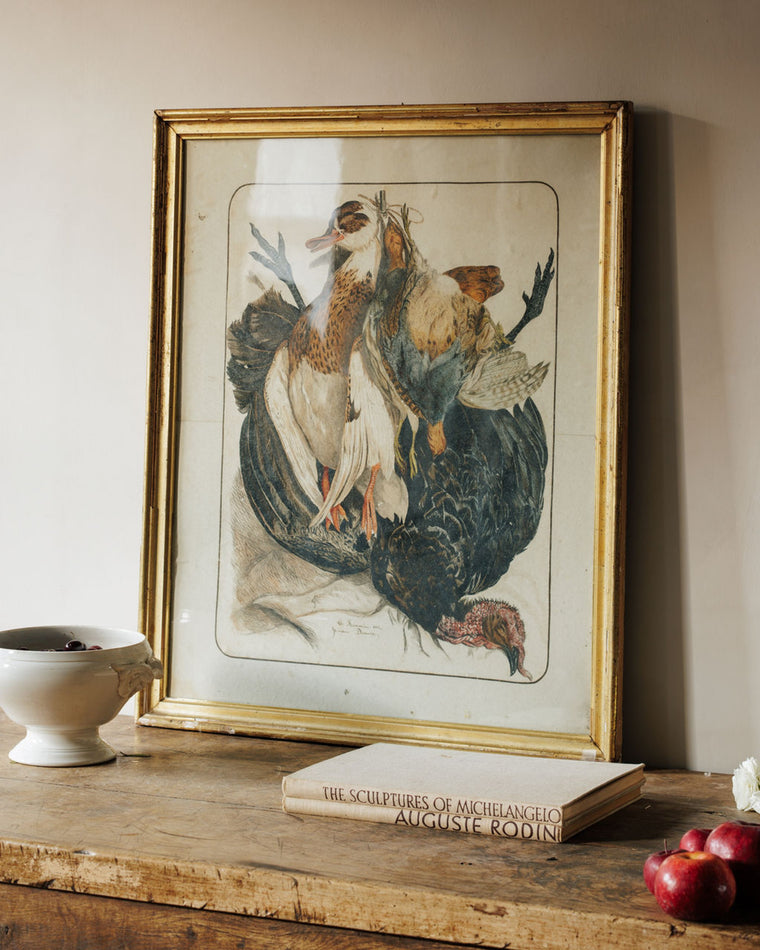 Bird Framed Print - VI