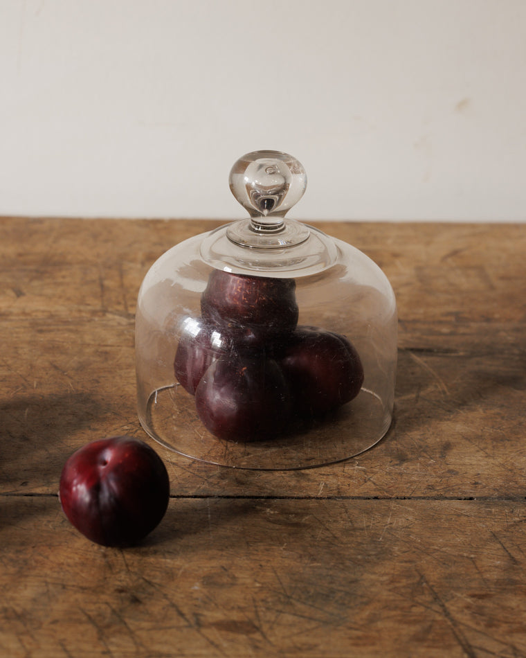 French Cloche - II
