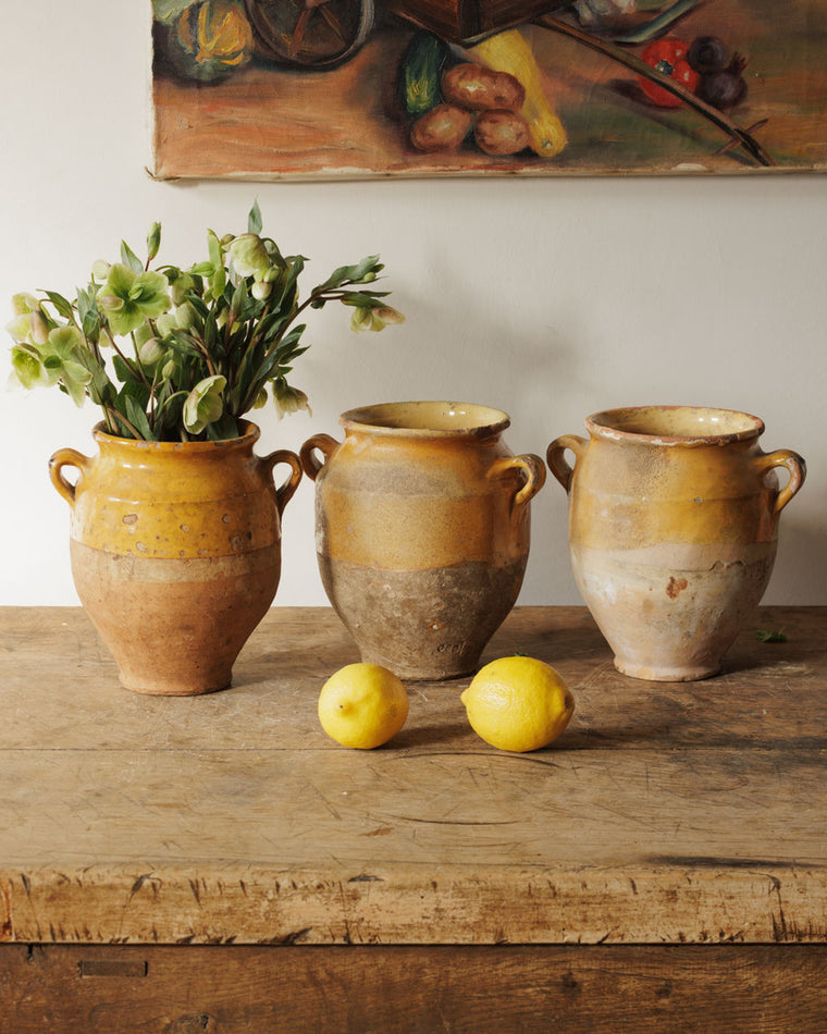 Petit Yellow Confit Pots