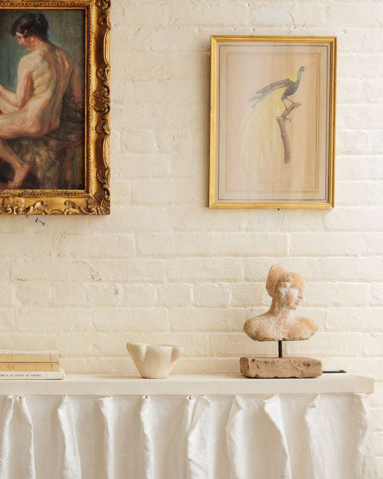 Bird Framed Print - IV