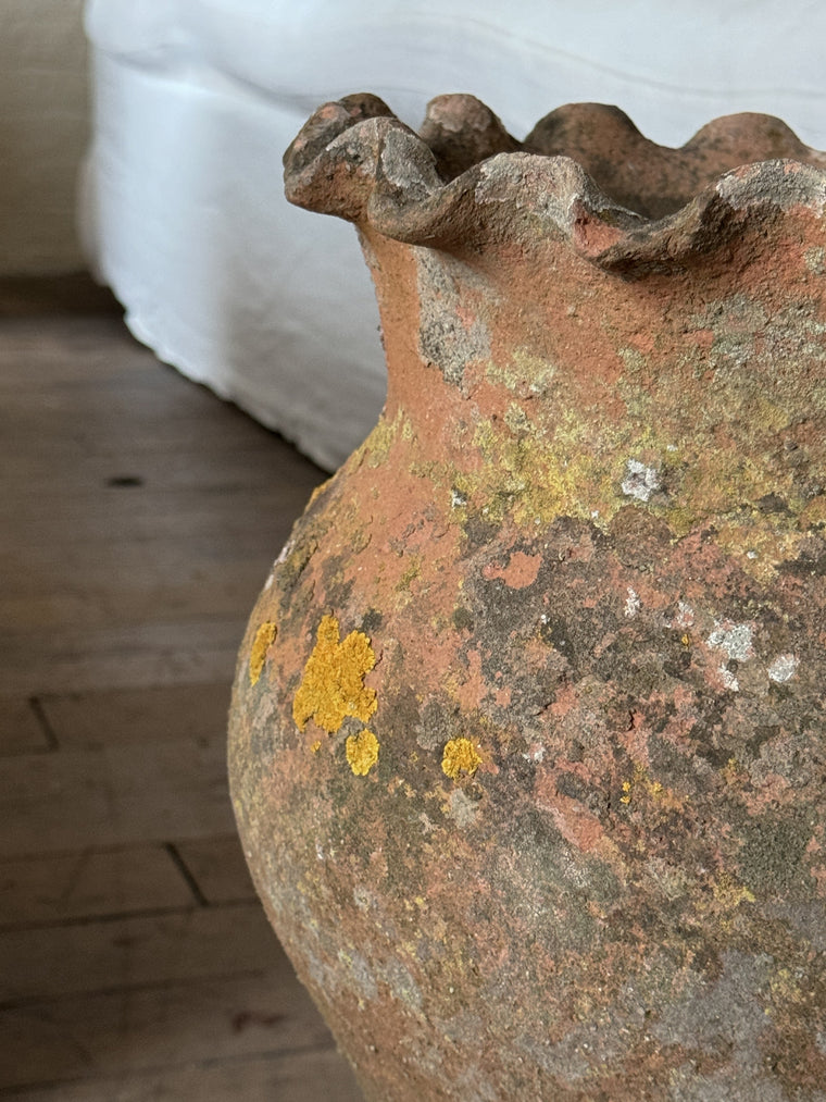 Scalloped Terracotta Pot