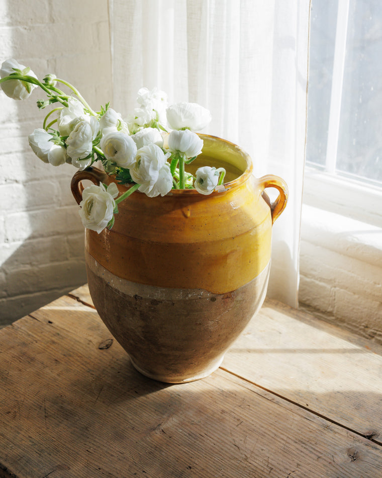 XL Yellow Confit Pot
