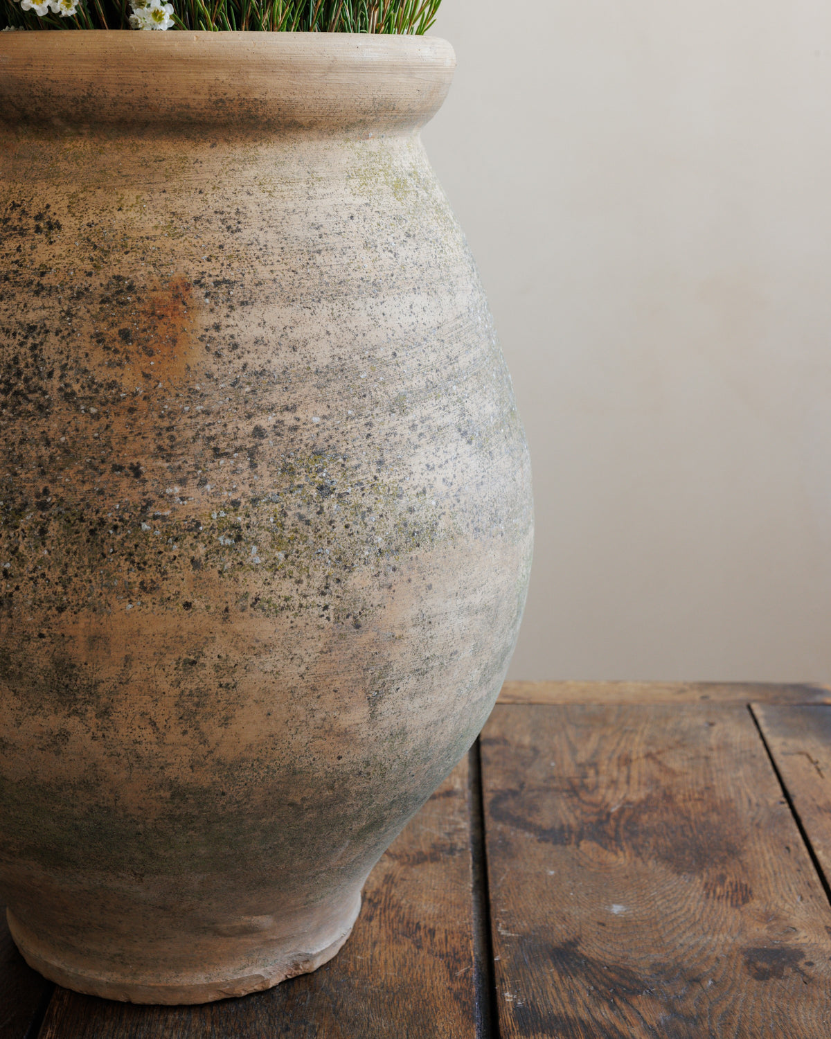 Terracotta Garden Pot