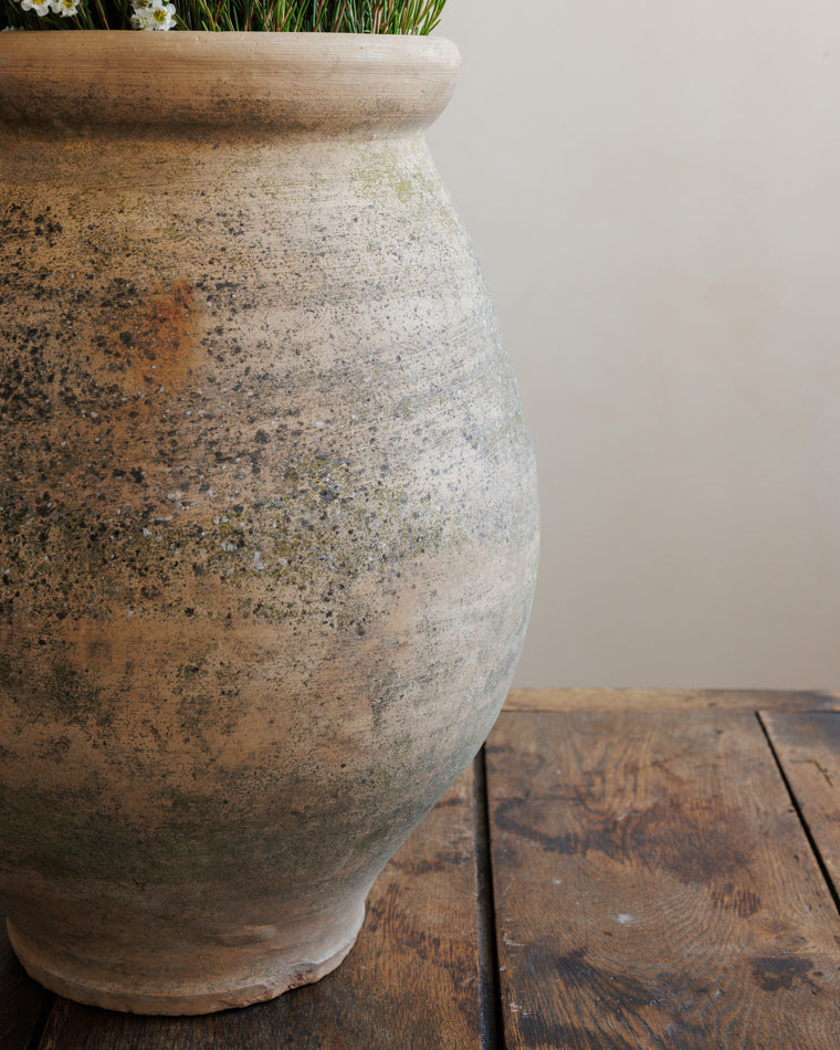 Terracotta Garden Pot