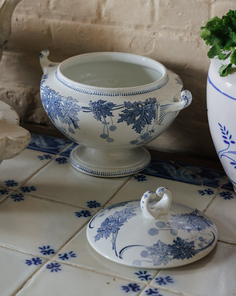 French Tureen