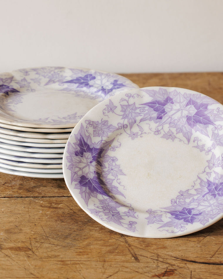 Bryonia Salad Plate