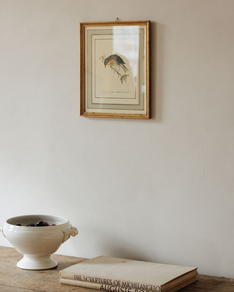 Bird Framed Print - I