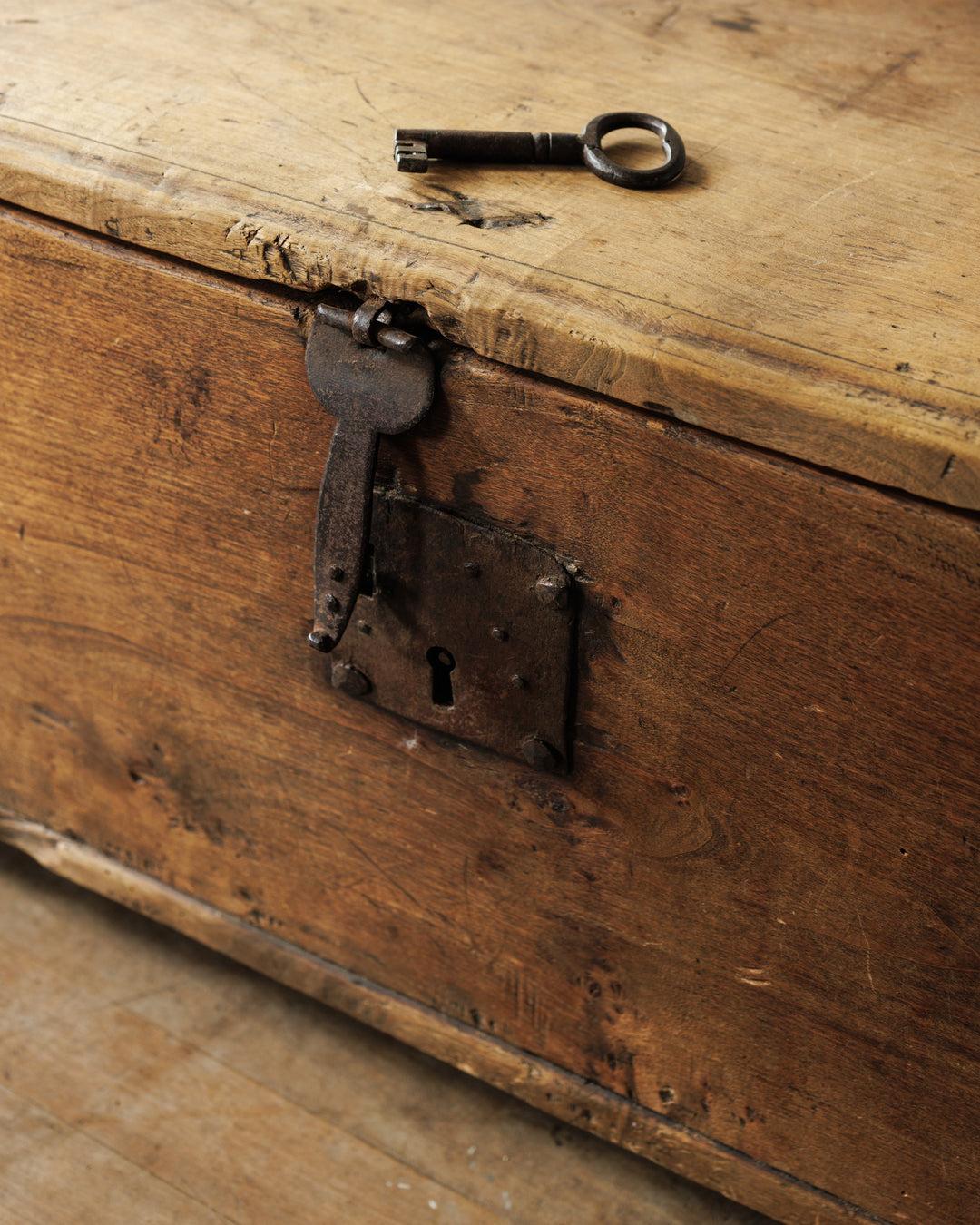 18th c. Chateau Oak Trunk