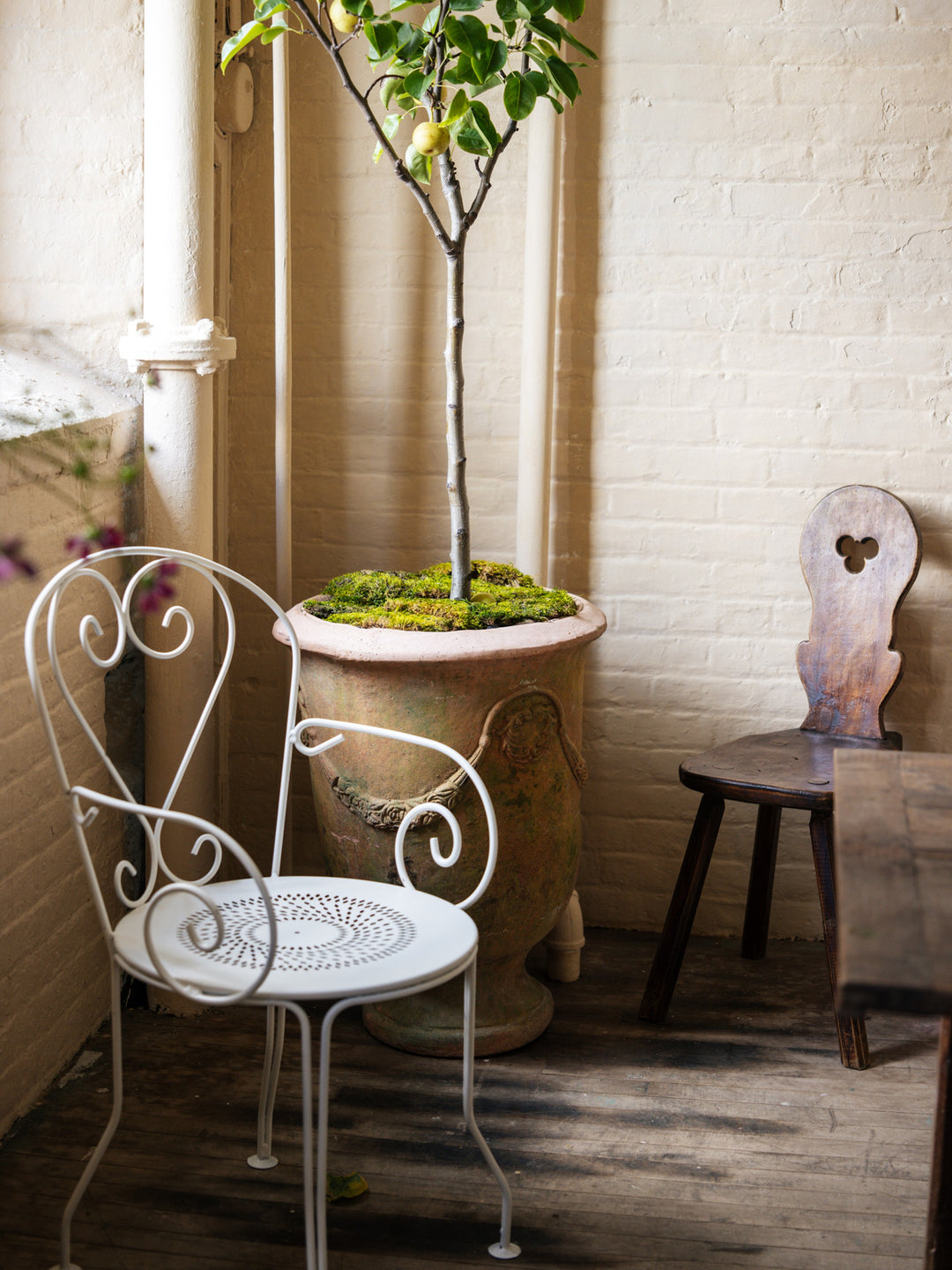 a white chair sits next to a potted plant
