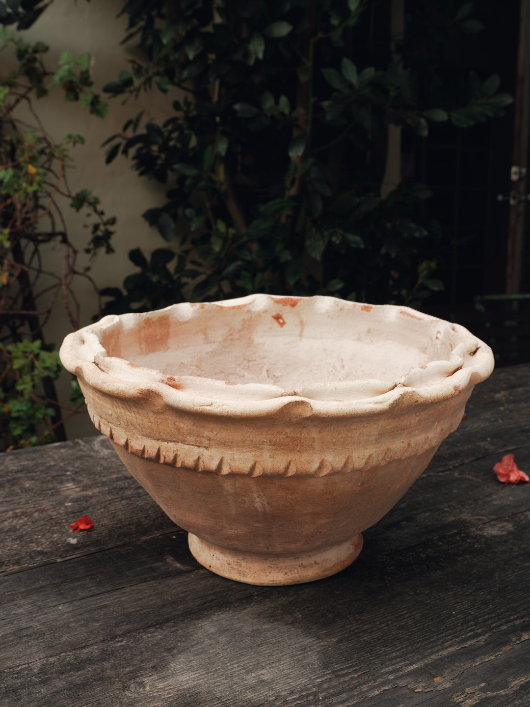 The Scallop Planter