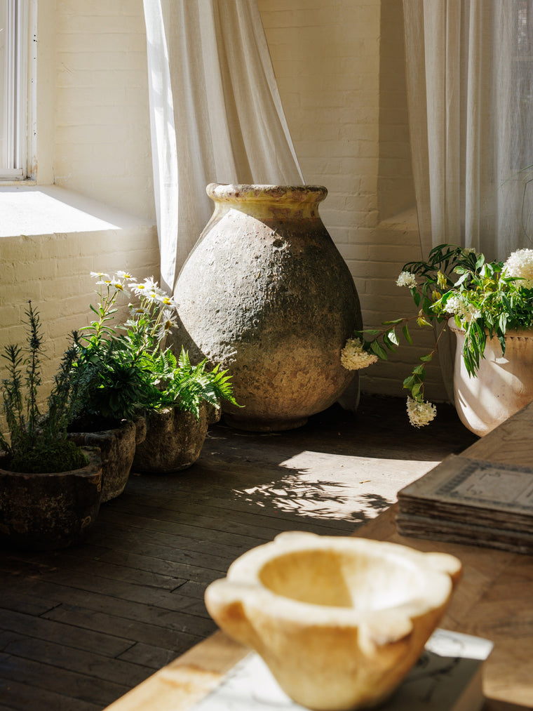 Early 19th Century French Biot