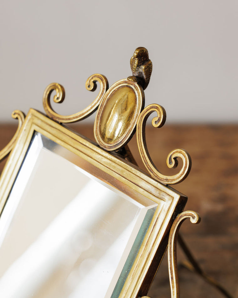 The Parrot Vanity Mirror