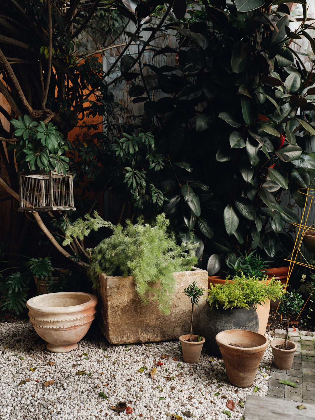 a garden with lots of potted plants and a bird cage