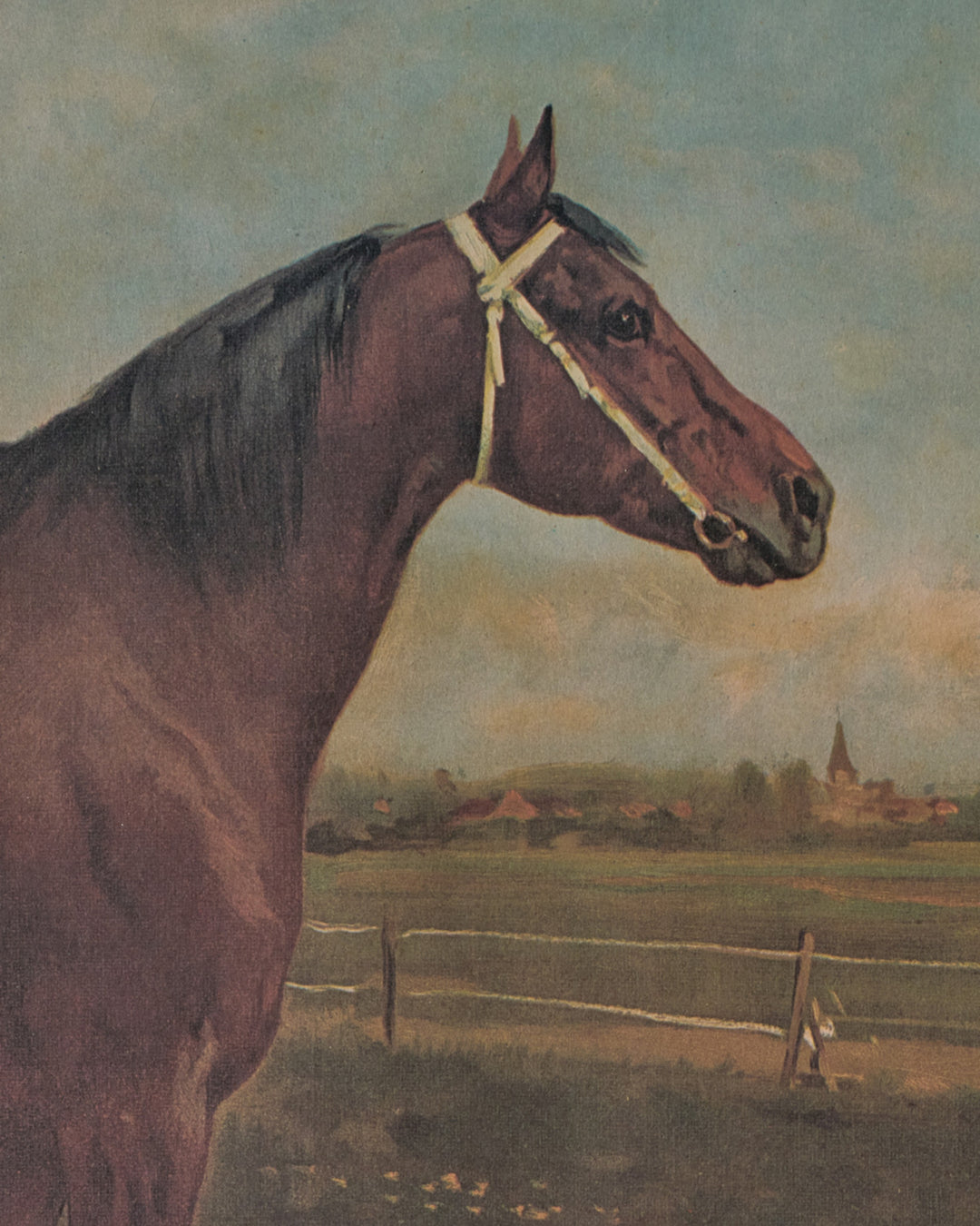 Le Cheval Artwork