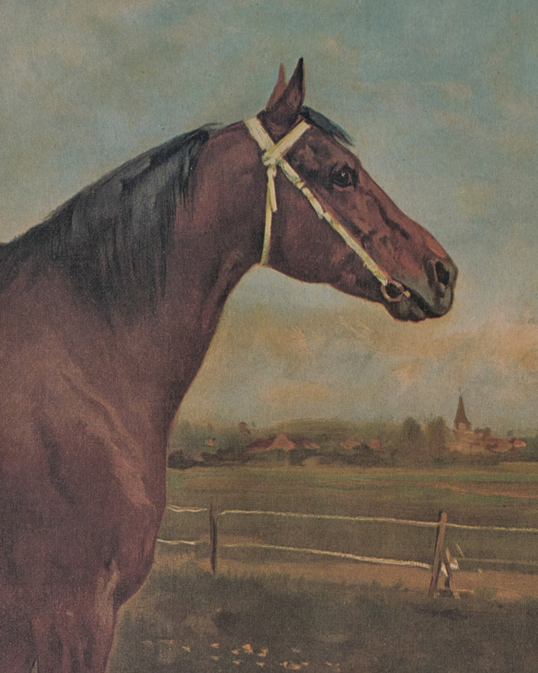 Le Cheval Artwork