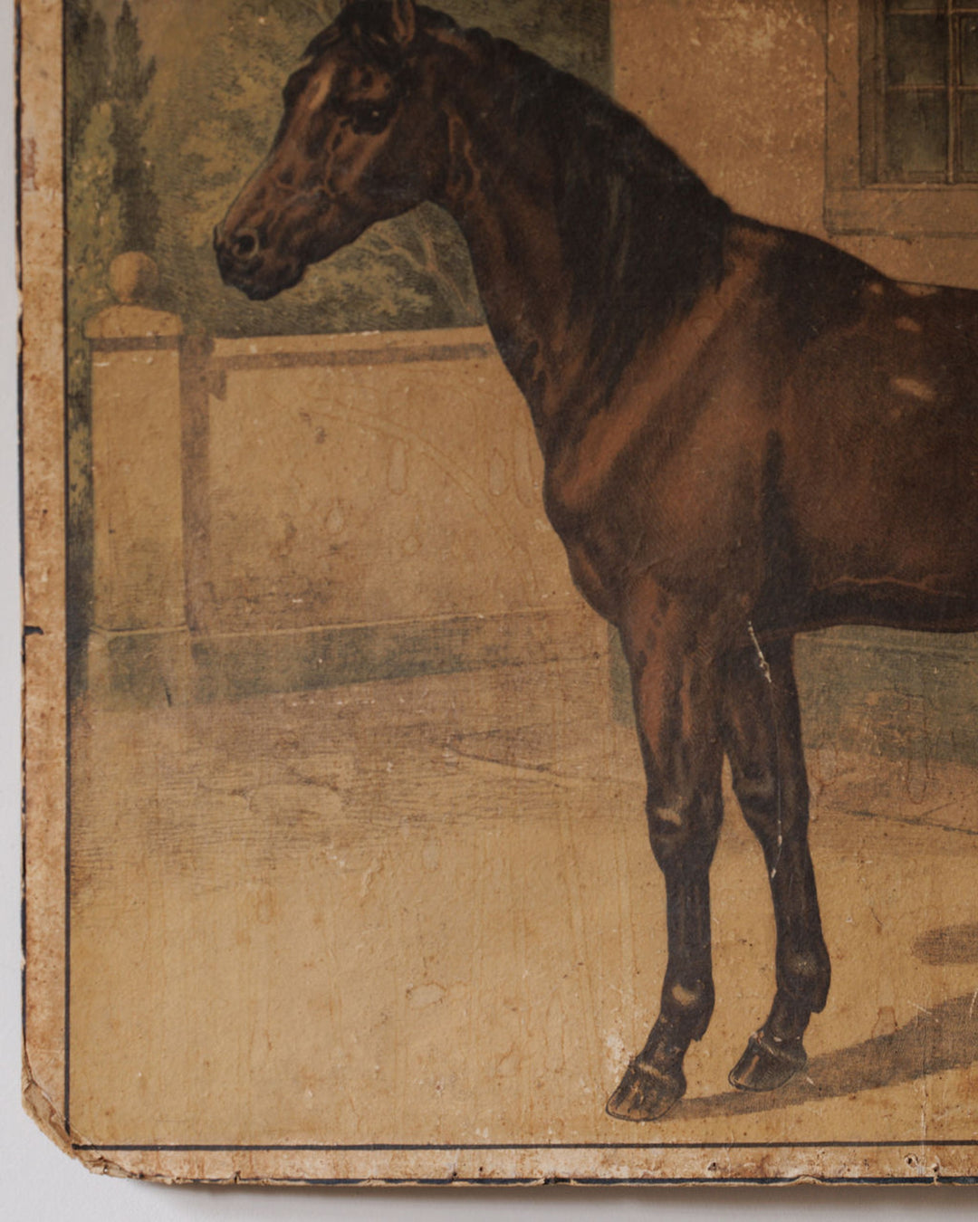 Le Cheval Artwork