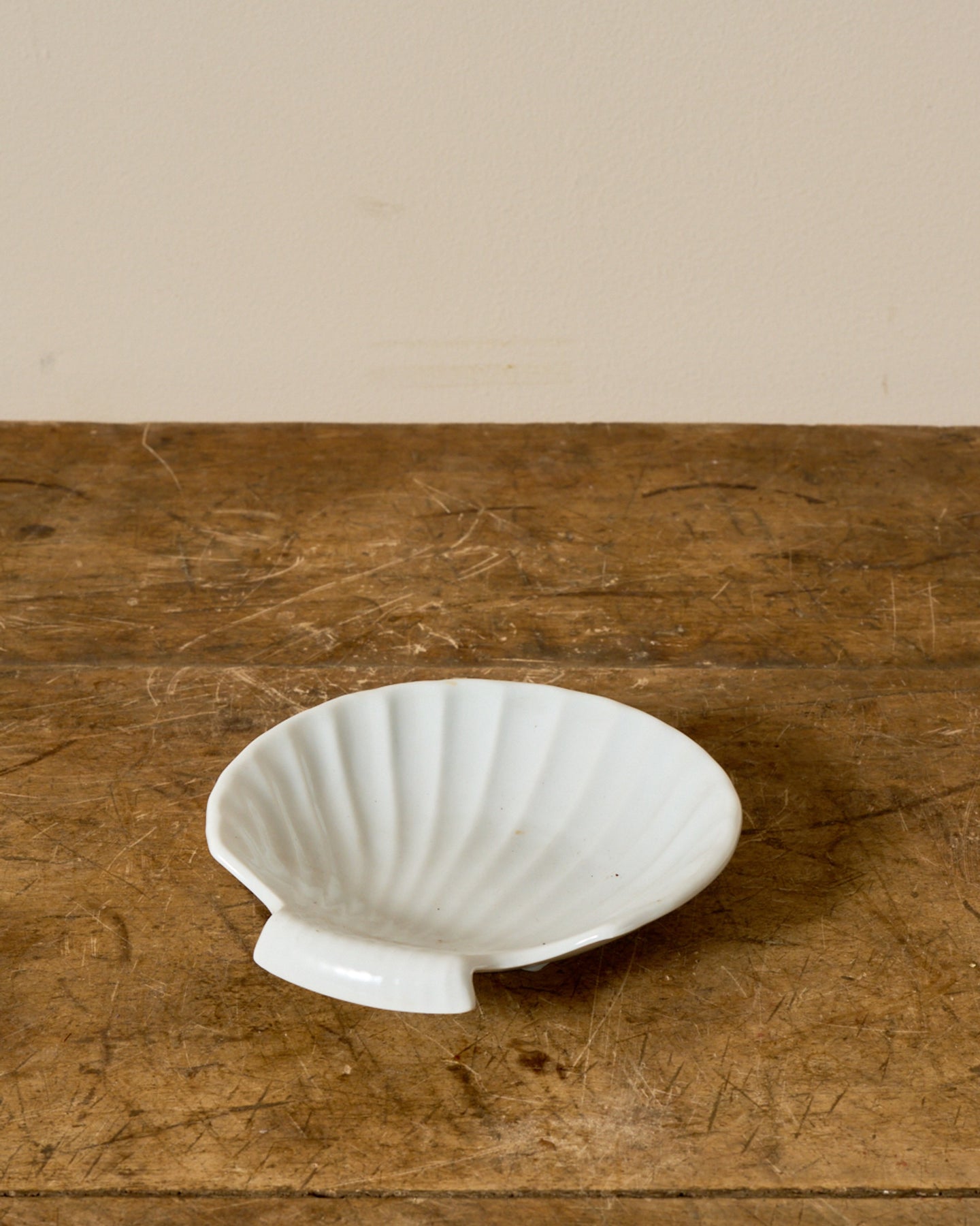 White scallop shell dish on a wooden table.