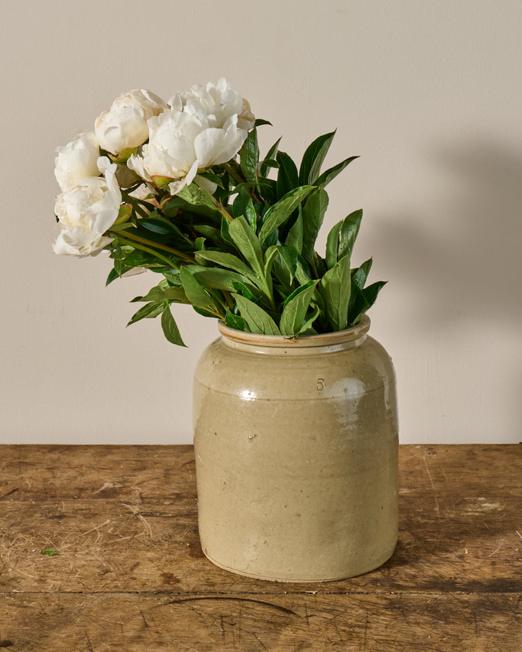 Creme Confit Pot