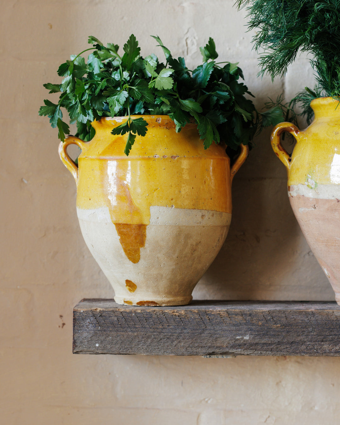 Yellow Confit Pot - Drip