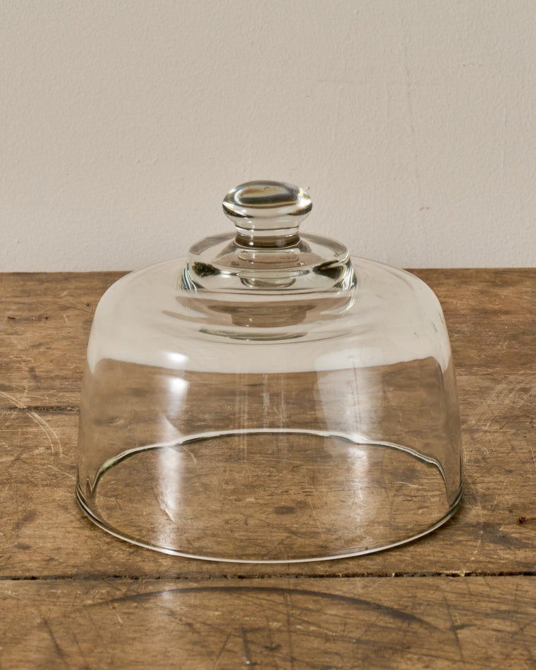 Vintage Glass Cloche - II