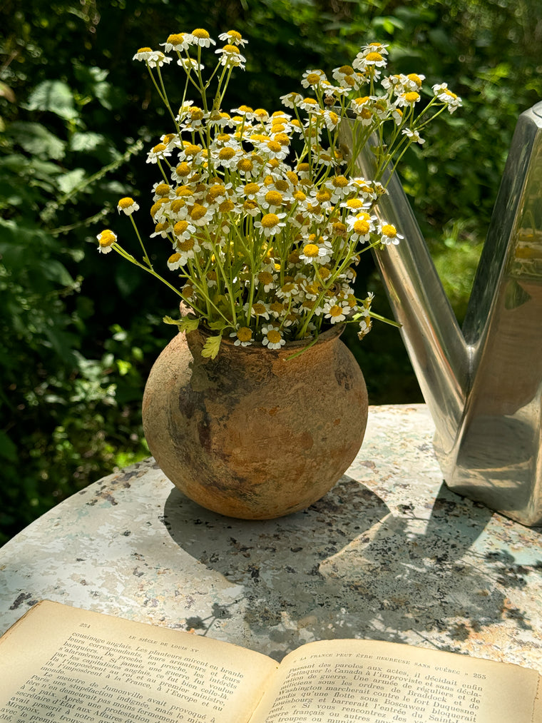 Mini Mexican Terracotta Pot