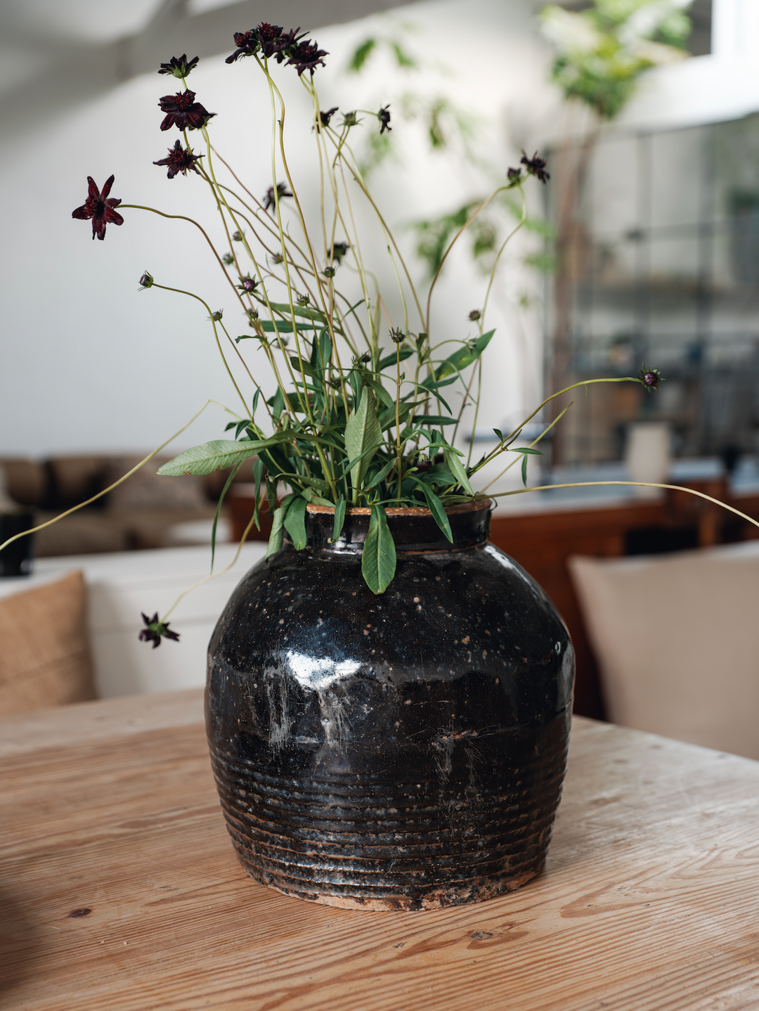 Black Glazed Water Pot