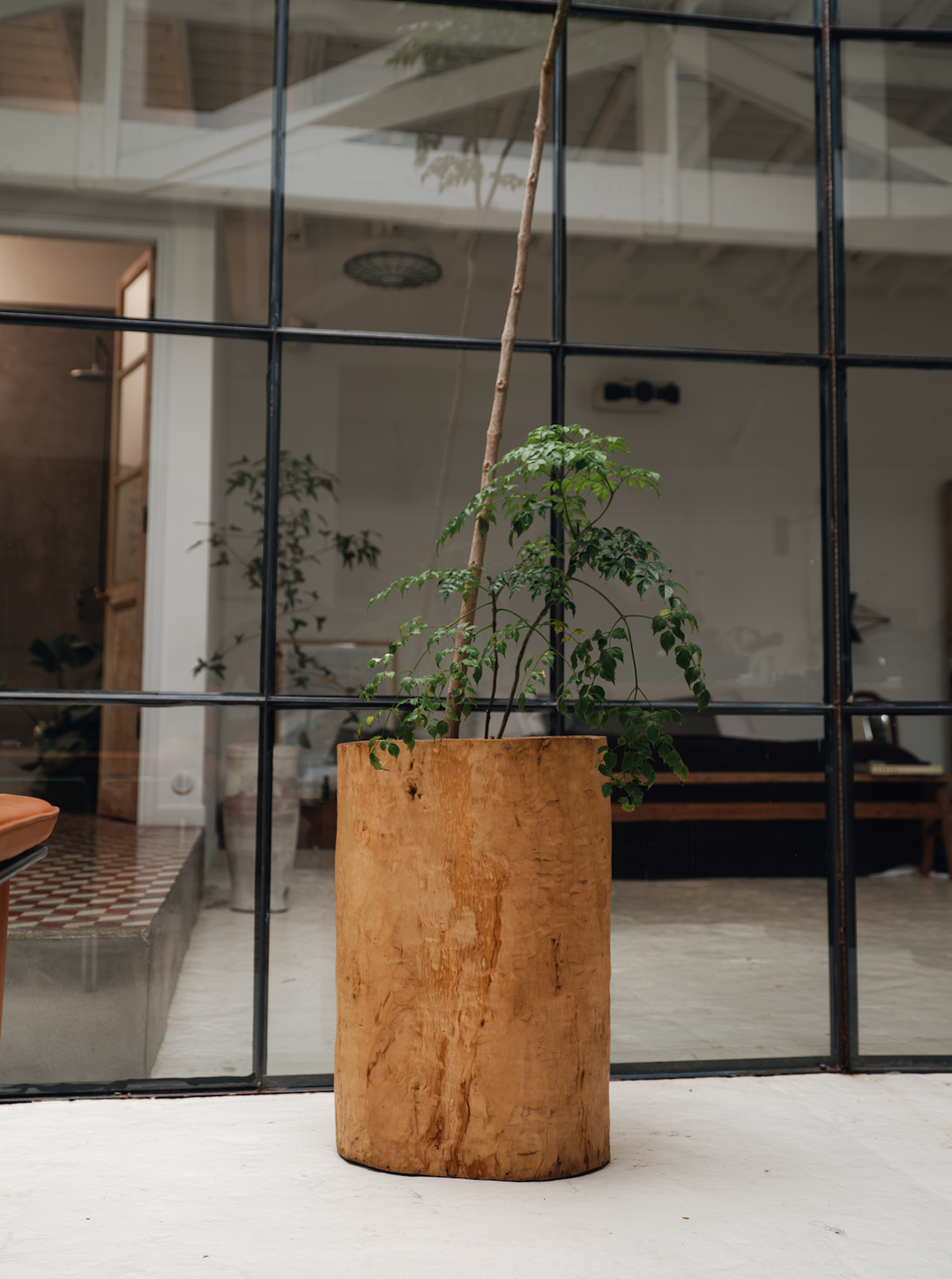 Chinese Wheat Pot - Light