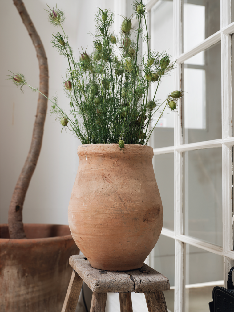 Egyptian Planter