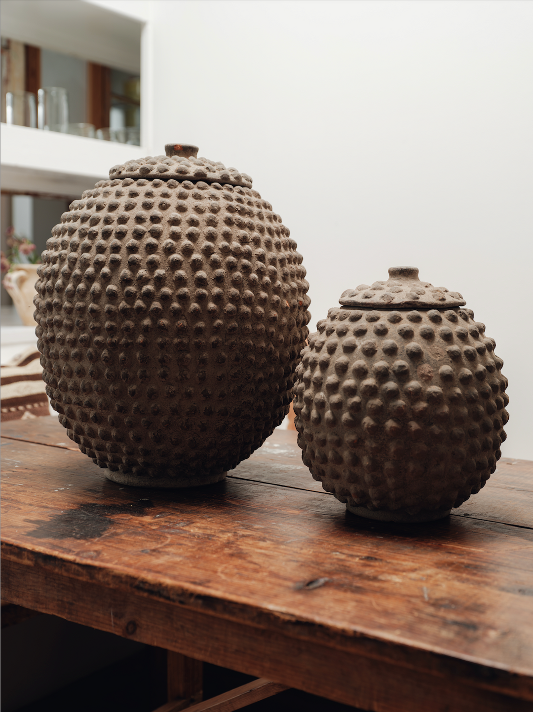 Lobi Pot