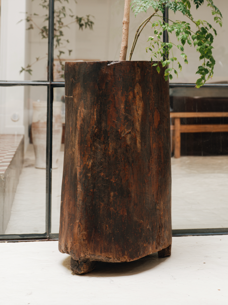 Naga Planter - 1