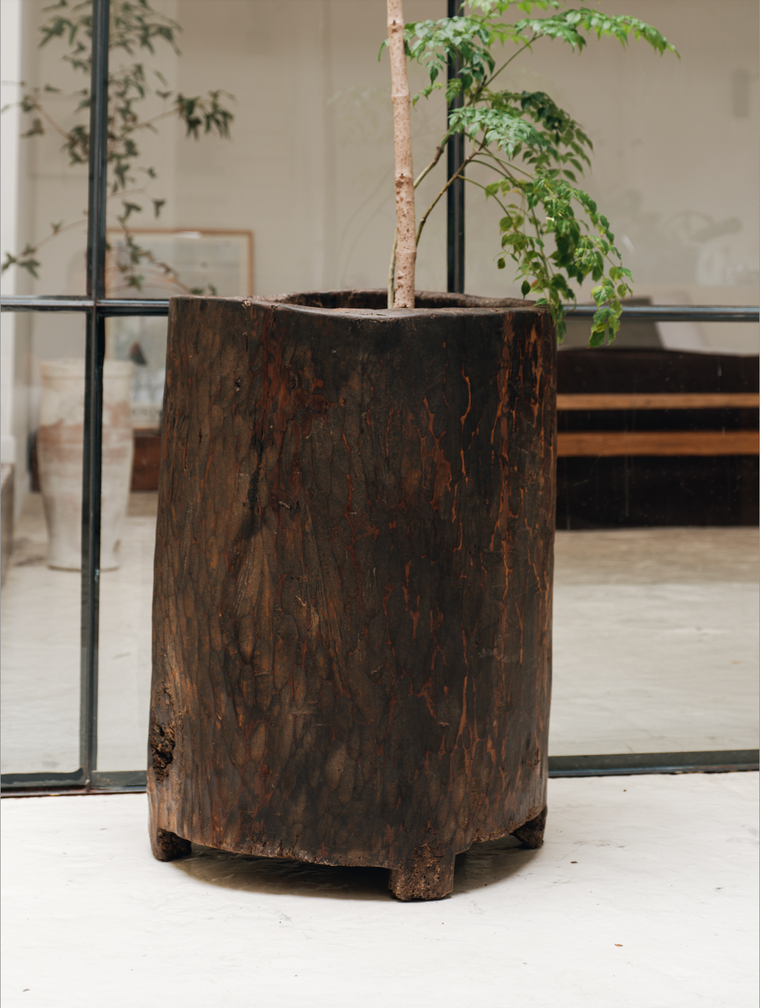 Naga Planter - 2
