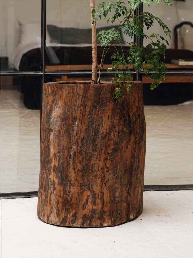 Naga Planter - 3