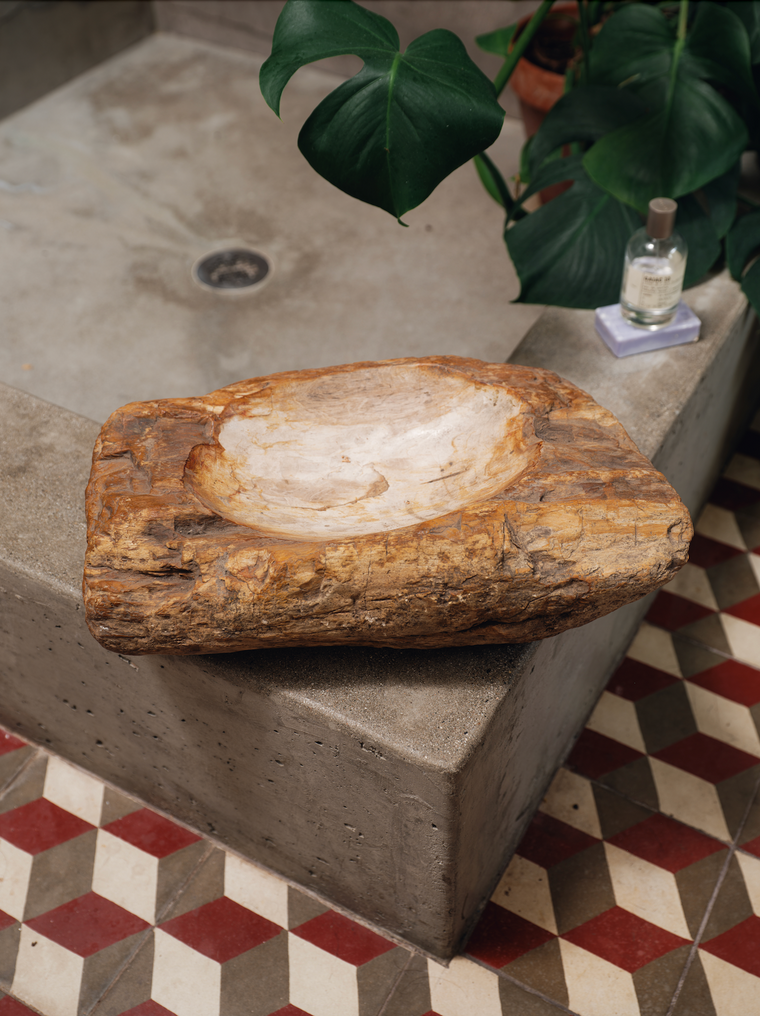 Petrified Wood Bowl