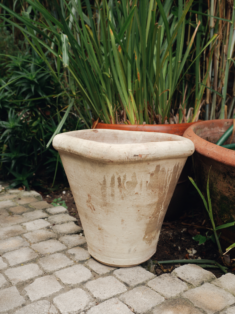 The Flower Pot