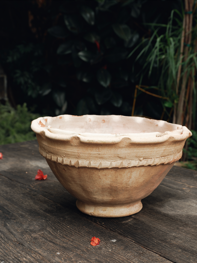 The Scallop Planter