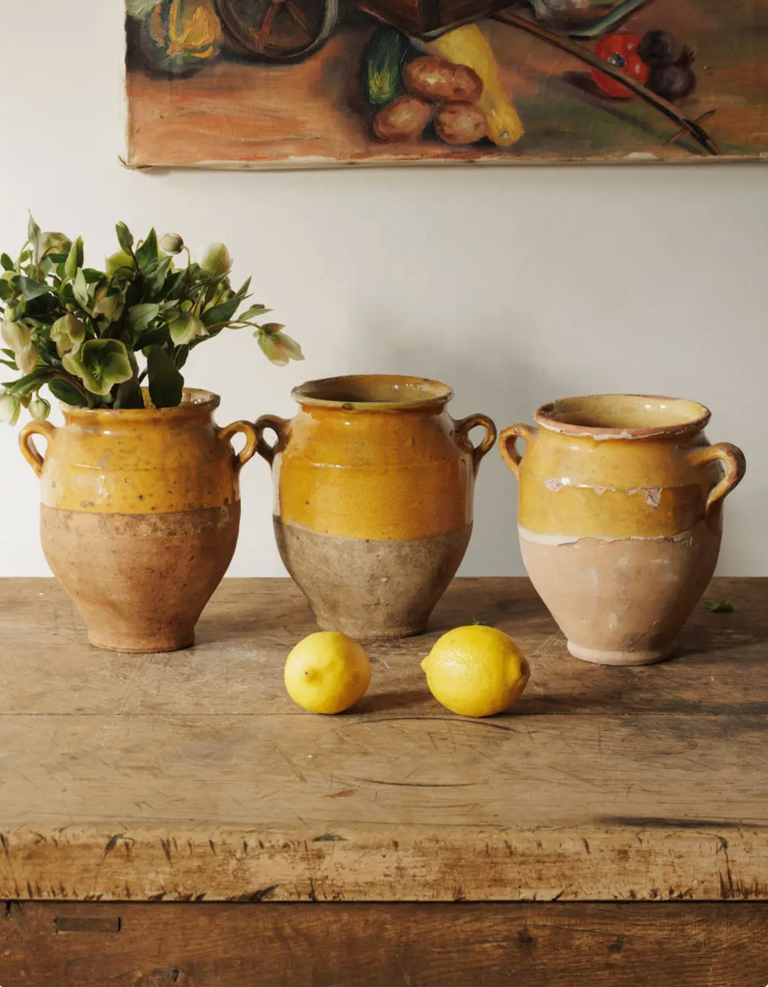 Petit Yellow Confit Pots
