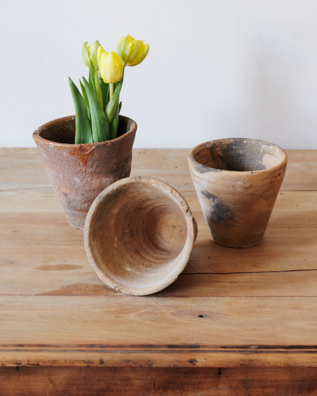 Terracotta Resin Pot