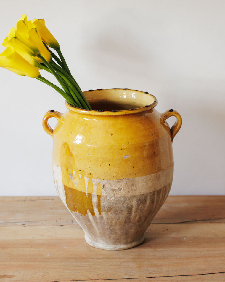 Yellow Confit Pot - Large