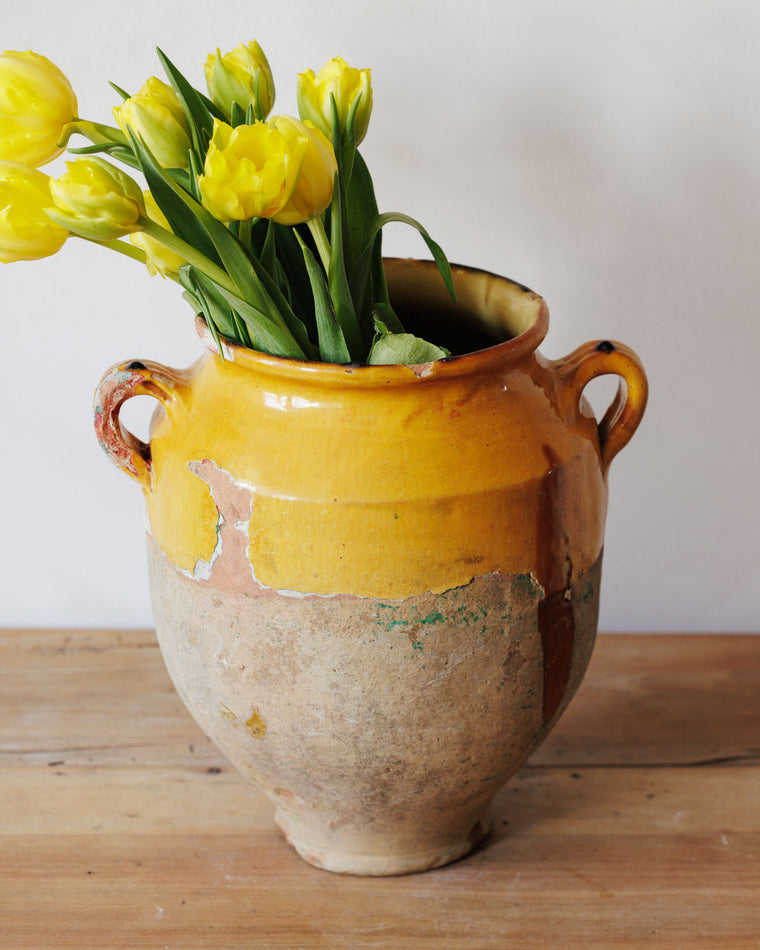 Yellow Confit Pot - III