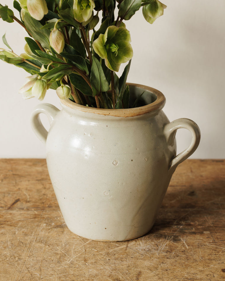 Petit Confit Pot - II