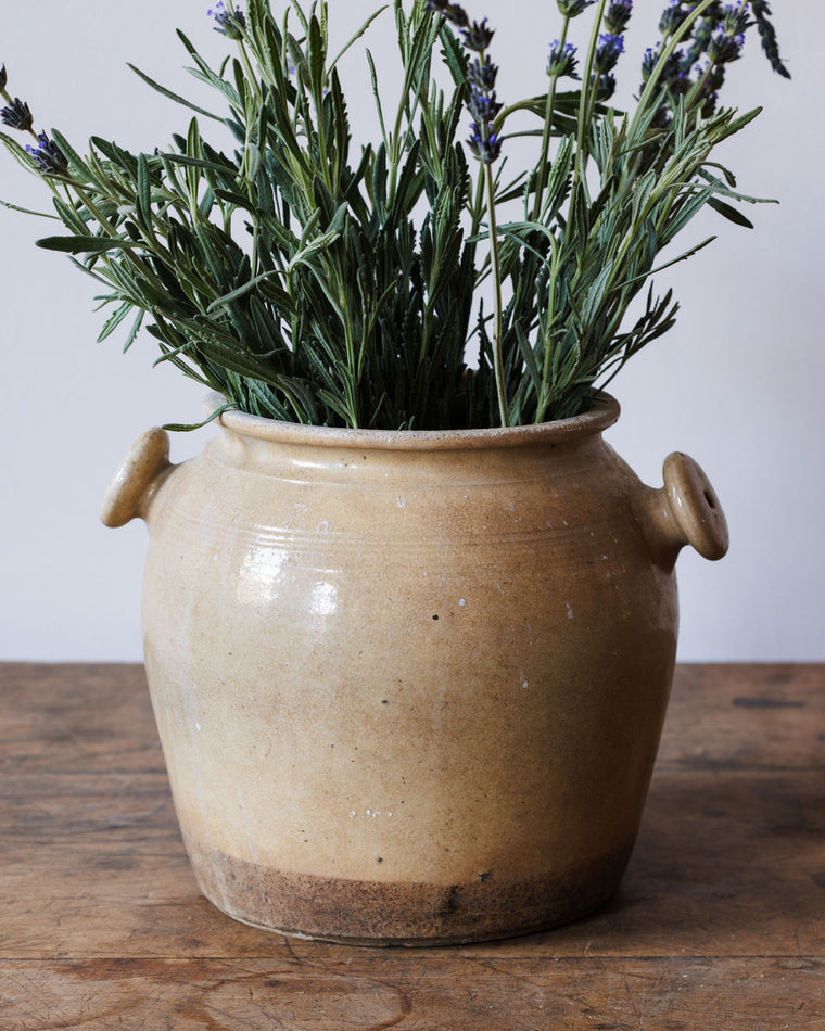 Cream Grease Pot