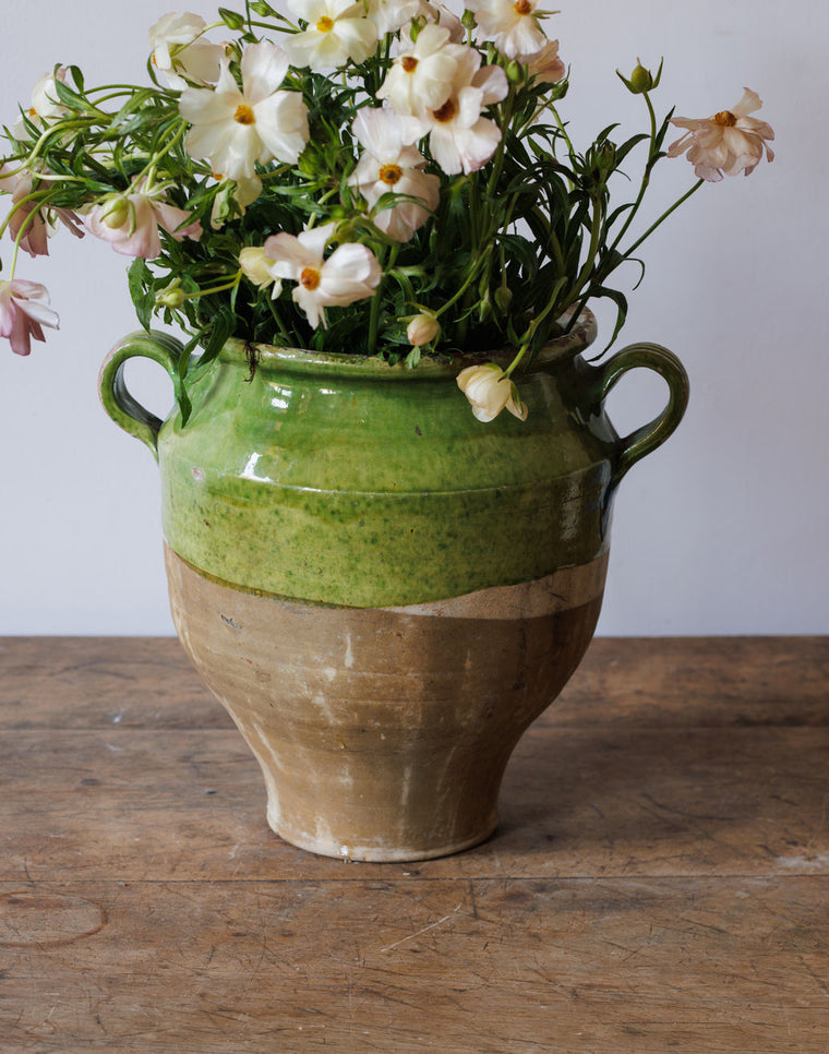 Green Confit Pot - XL