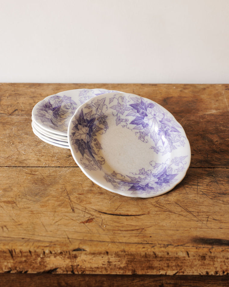 Bryonia Soup Bowl